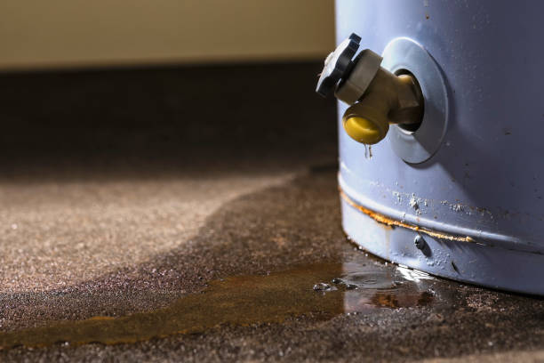 Best Basement water damage restoration  in Locust Valley, NY