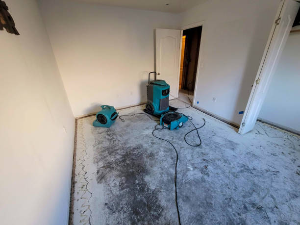 Trusted Locust Valley, NY Water damage restoration Experts