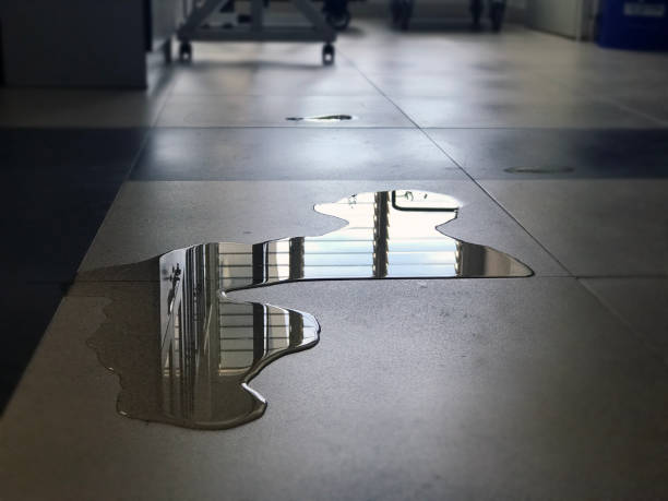 Best Water damage repair service  in Locust Valley, NY